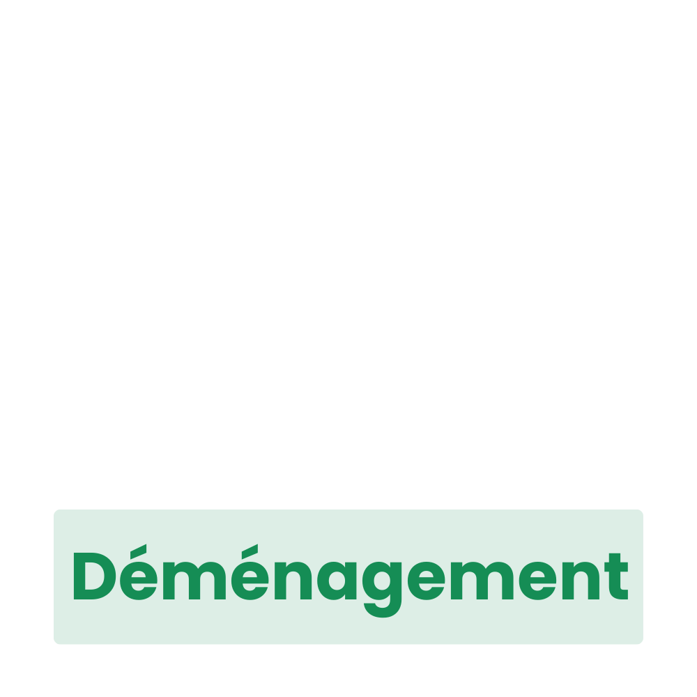 Déménagement 2